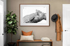 Pixalot ® Sleeping Leopard