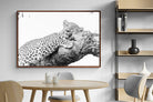 Pixalot ® Sleeping Leopard