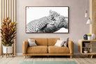 Pixalot ® Sleeping Leopard