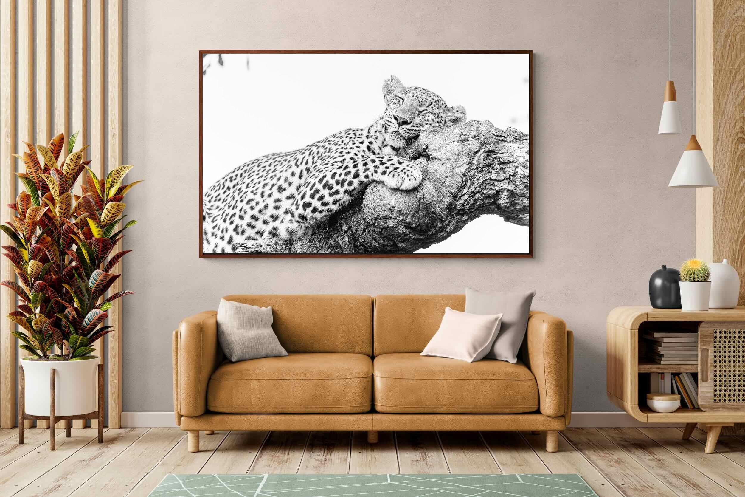 Pixalot ® Sleeping Leopard