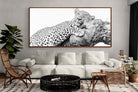 Pixalot ® Sleeping Leopard