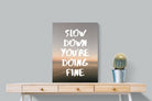 Pixalot Slow Down