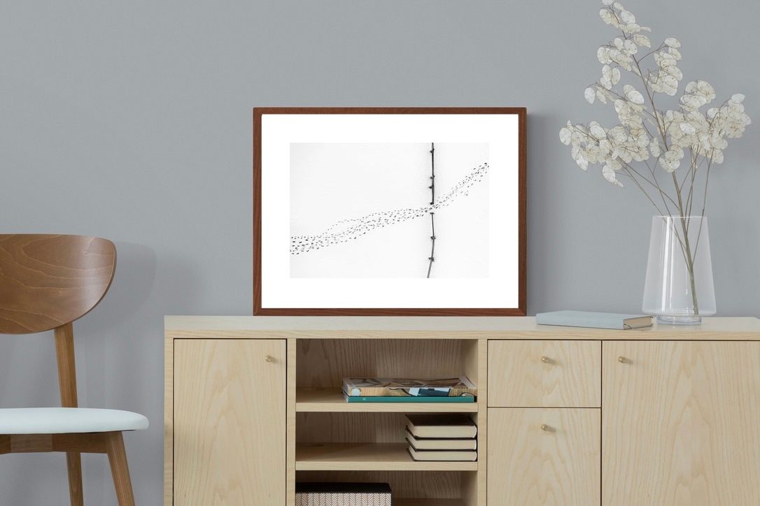Pixalot ® Snow Prints
