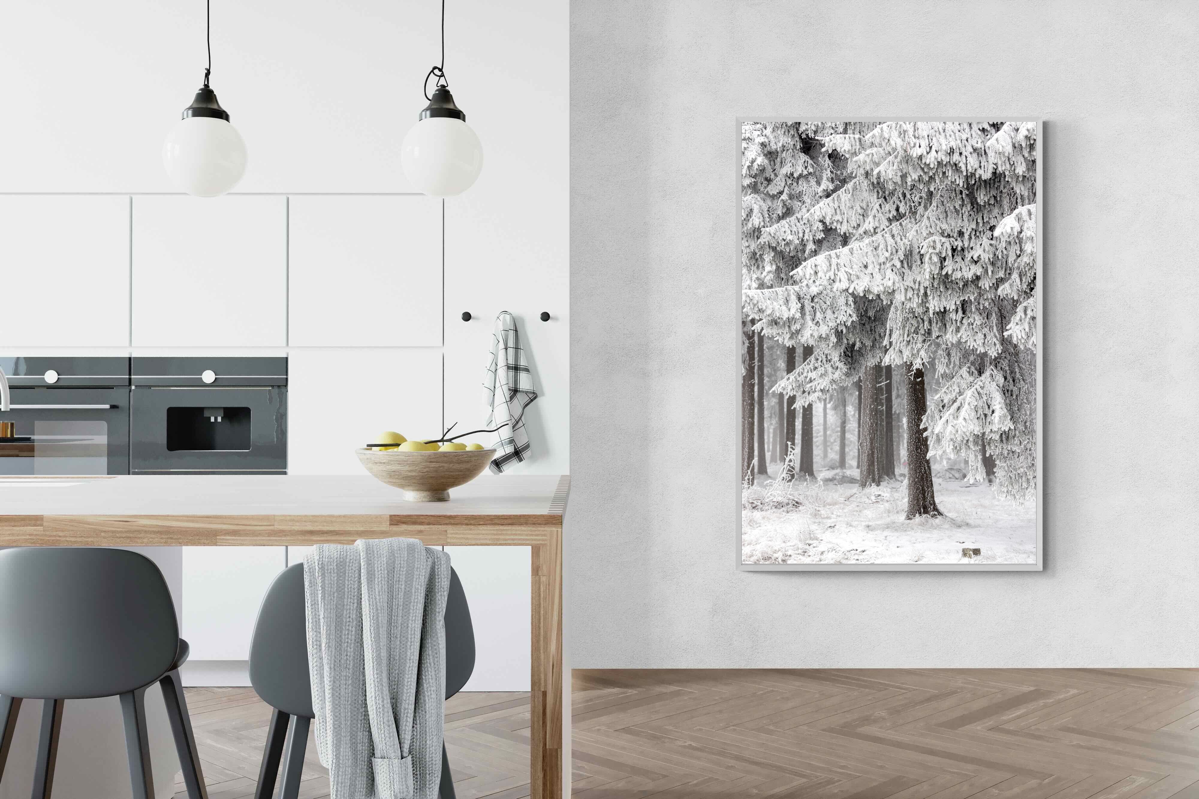 Pixalot Snowy Forest Silence