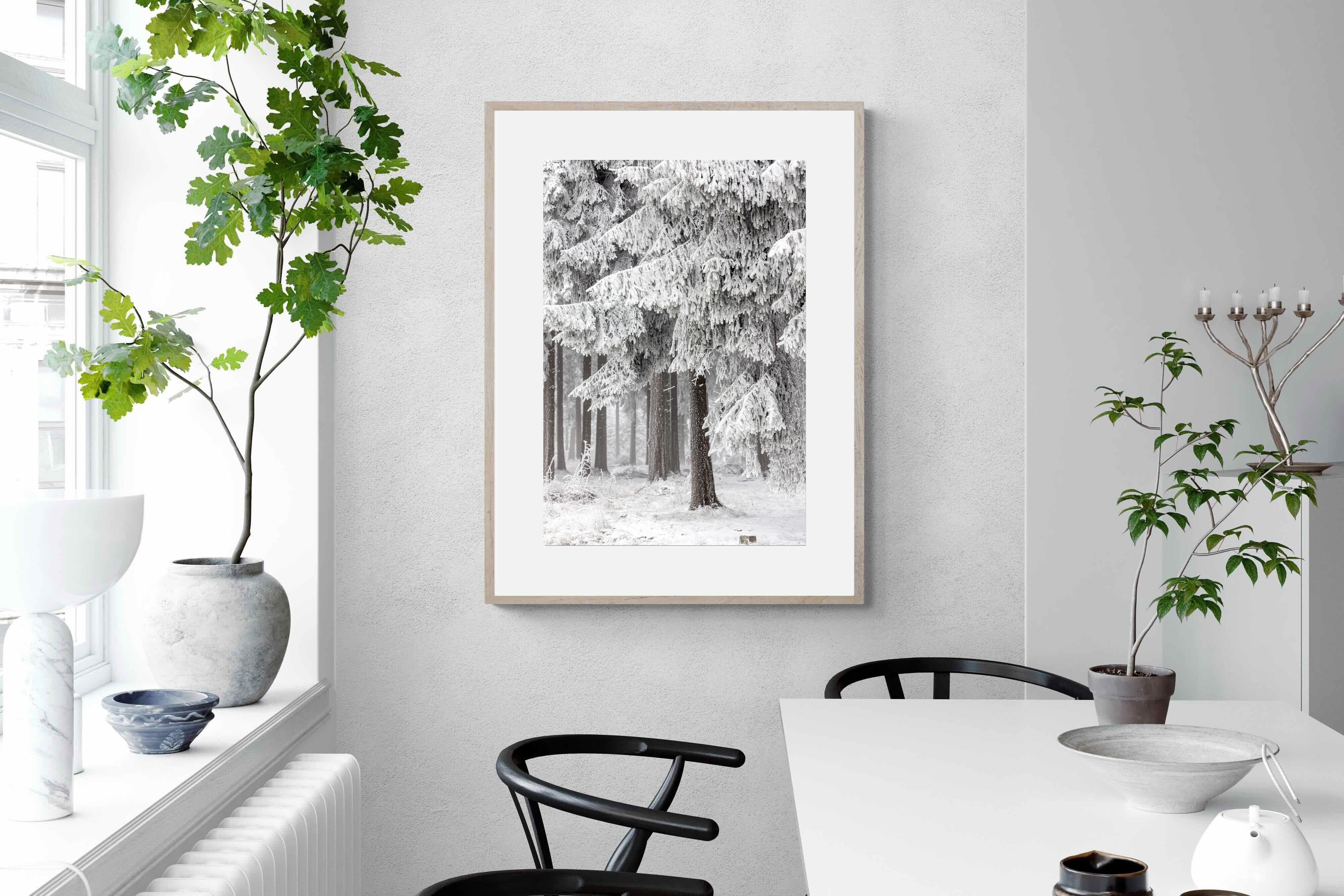 Pixalot Snowy Forest Silence