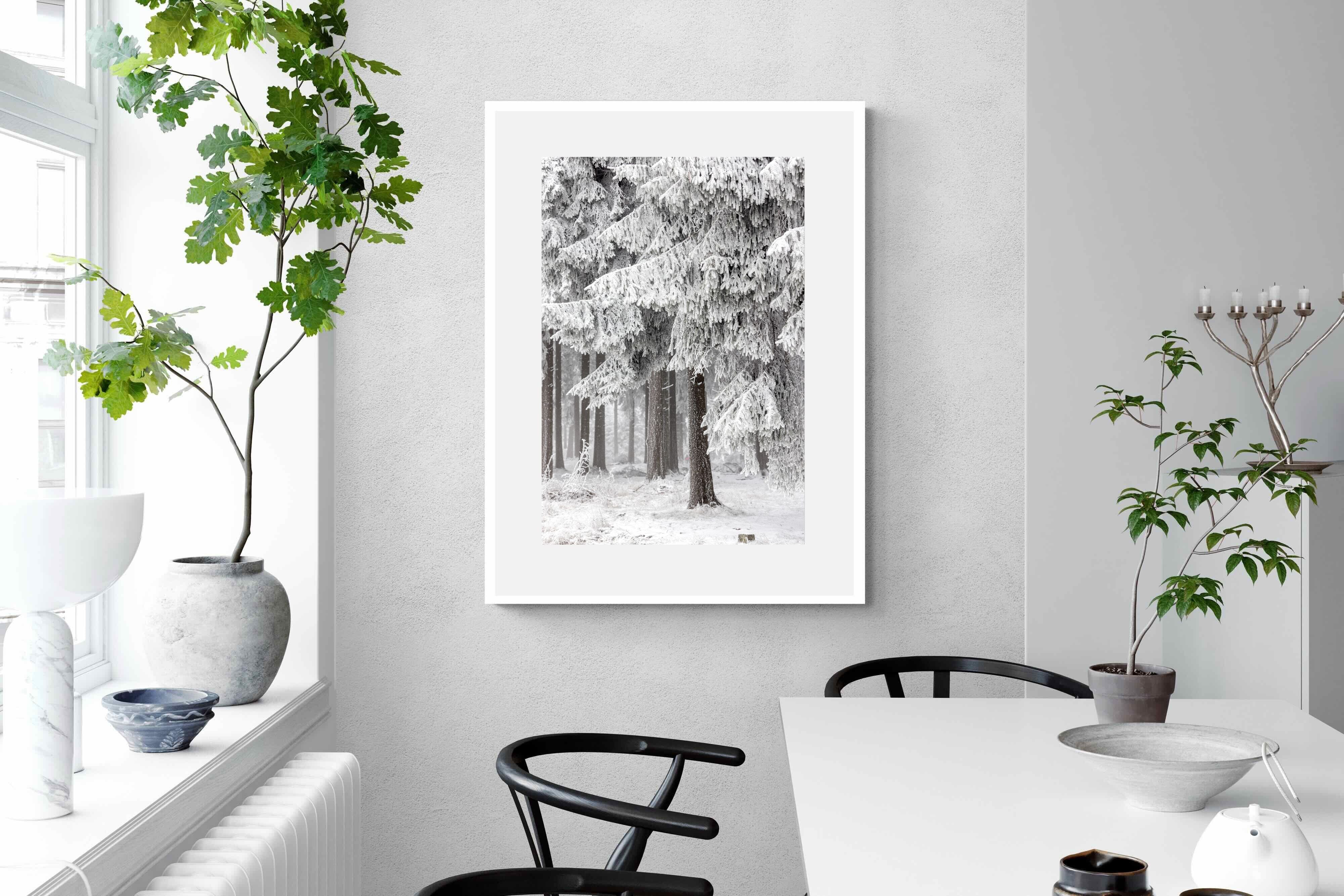 Pixalot Snowy Forest Silence