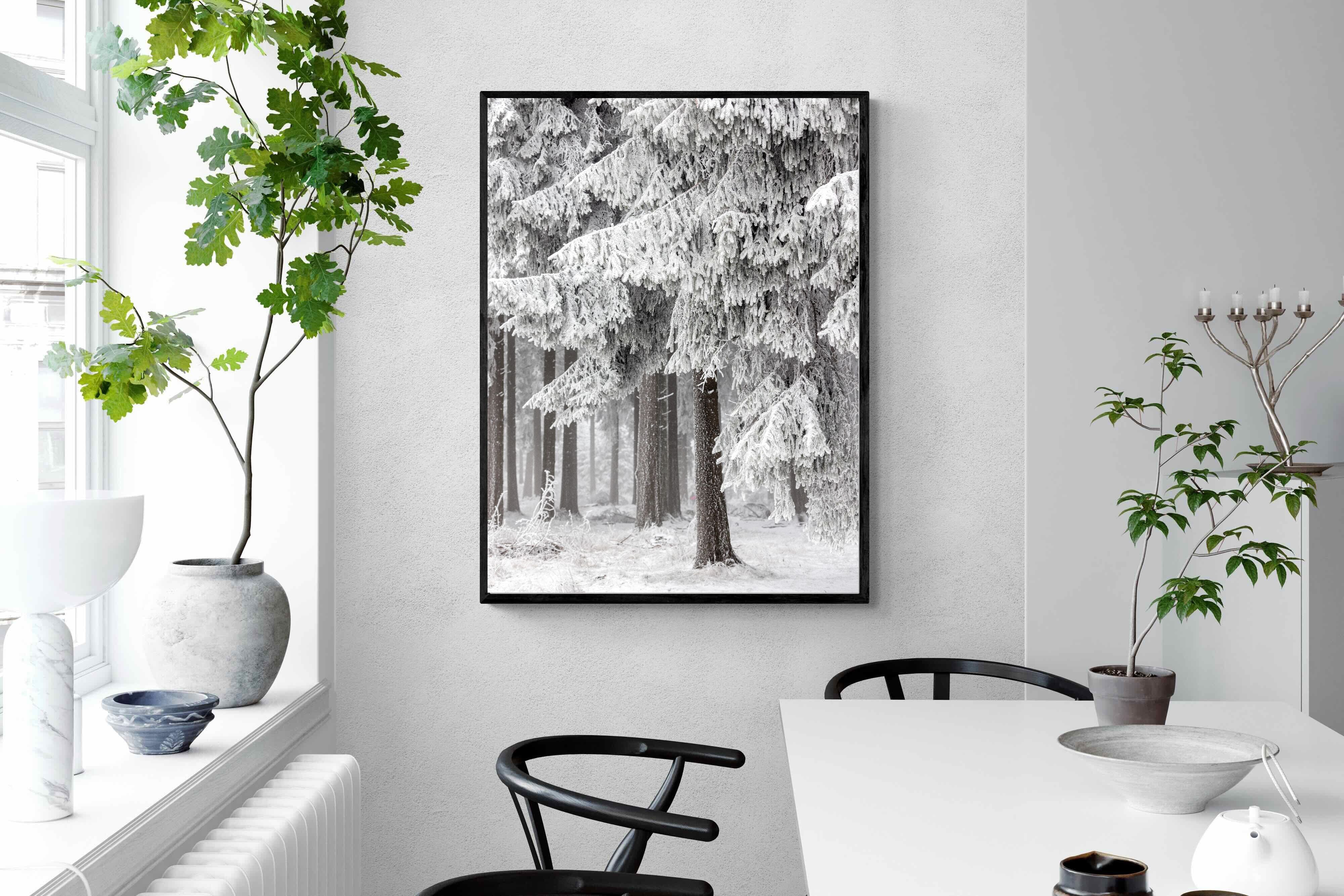 Pixalot Snowy Forest Silence