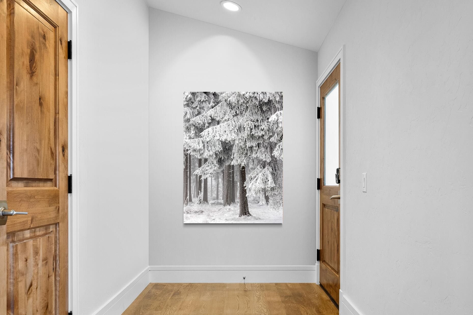 Pixalot Snowy Forest Silence