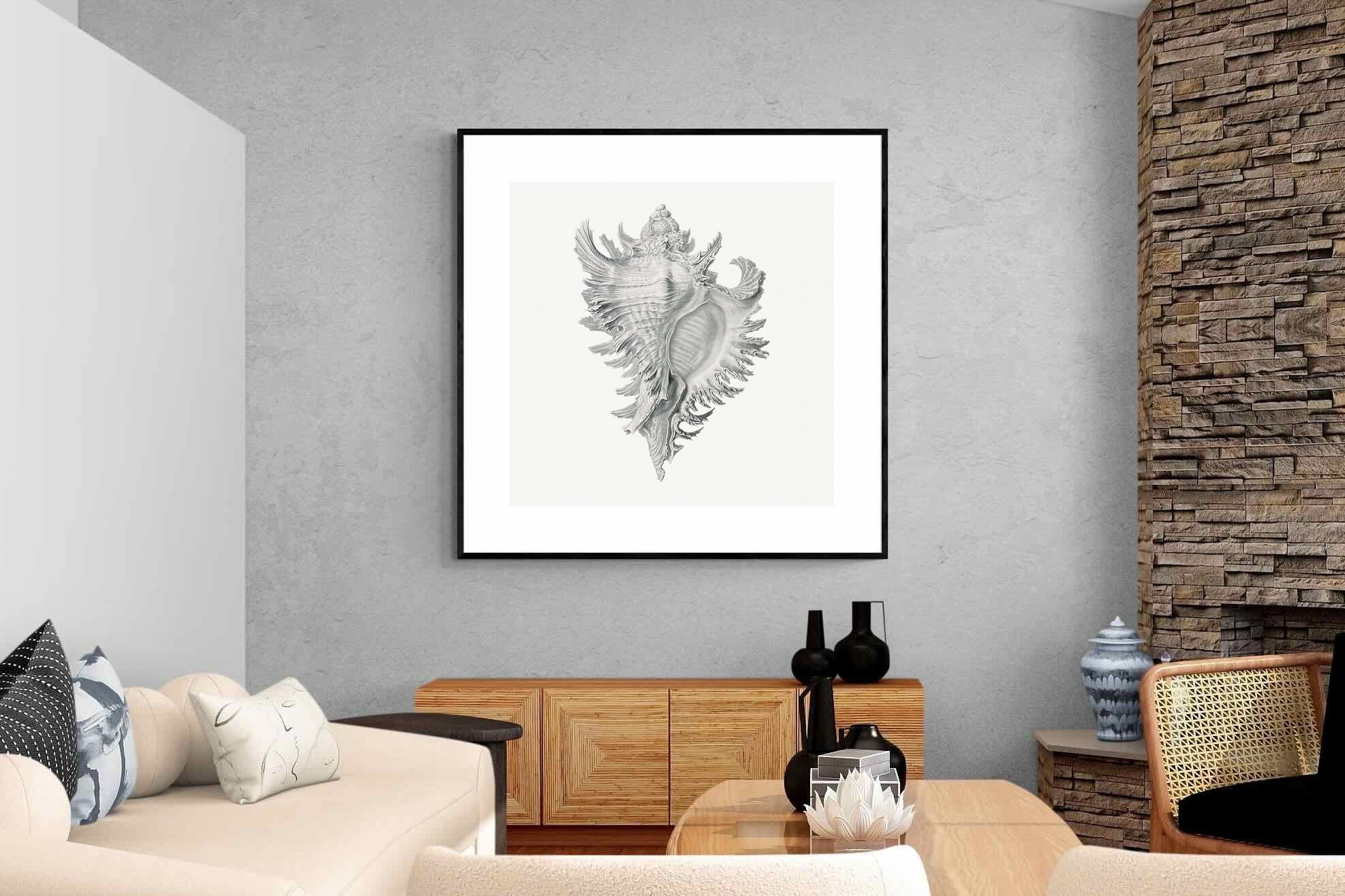 Pixalot Spiny Conch Shell