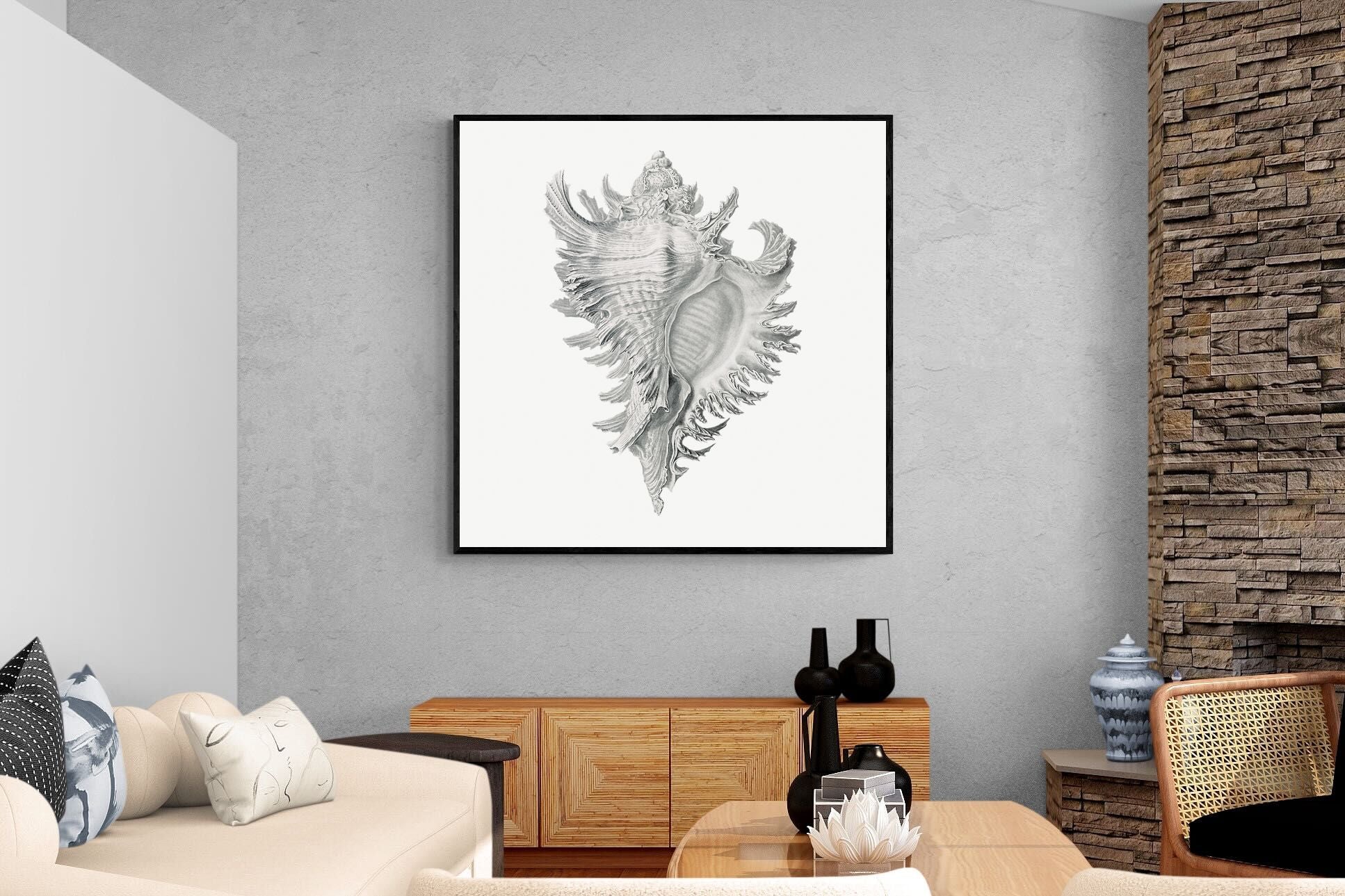 Pixalot Spiny Conch Shell