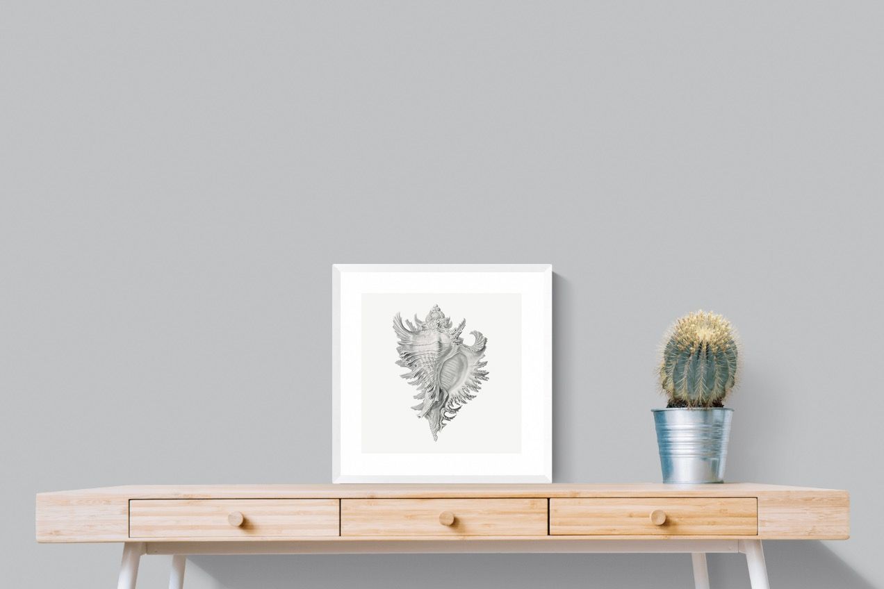 Pixalot Spiny Conch Shell