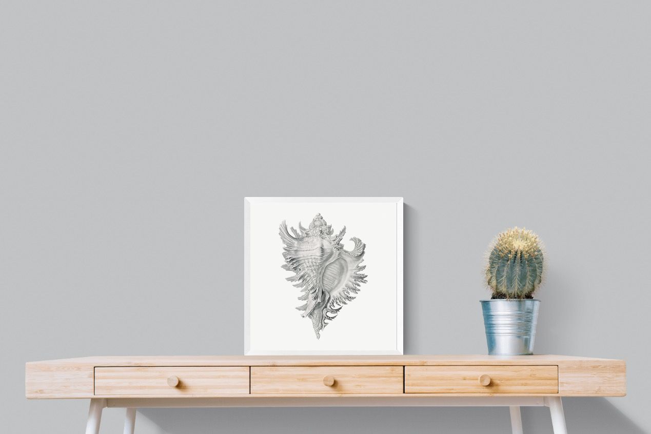 Pixalot Spiny Conch Shell