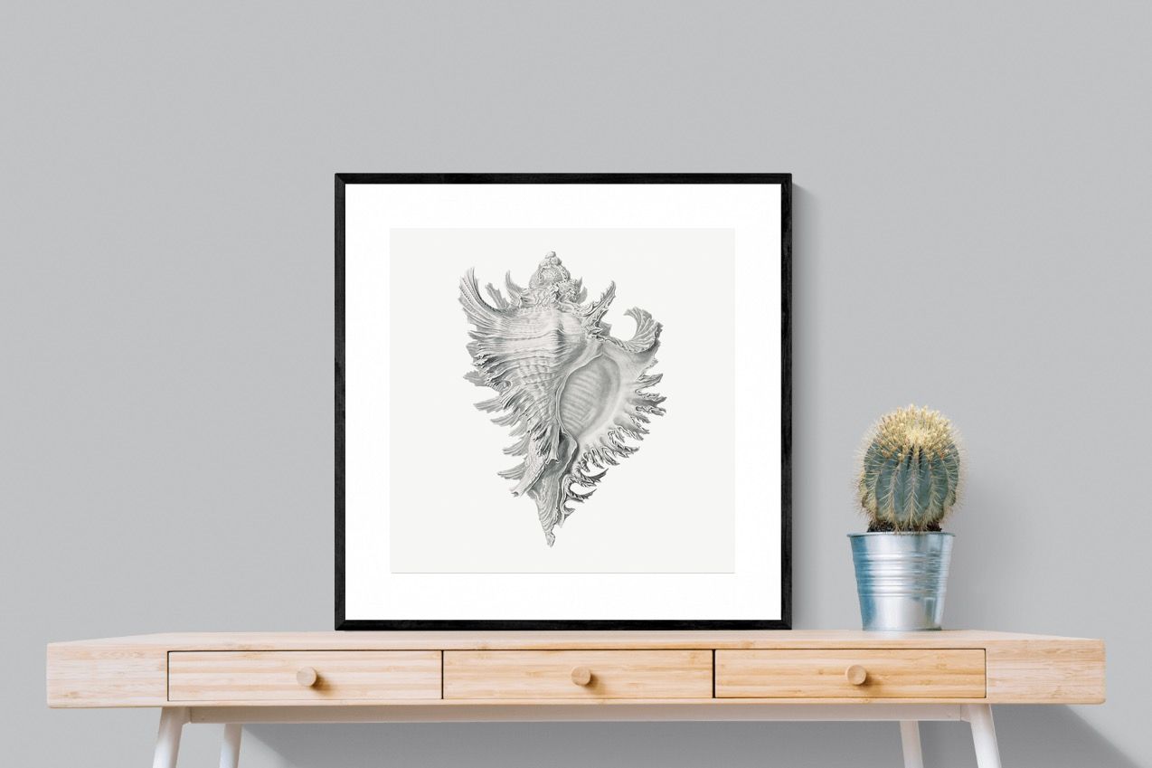 Pixalot Spiny Conch Shell