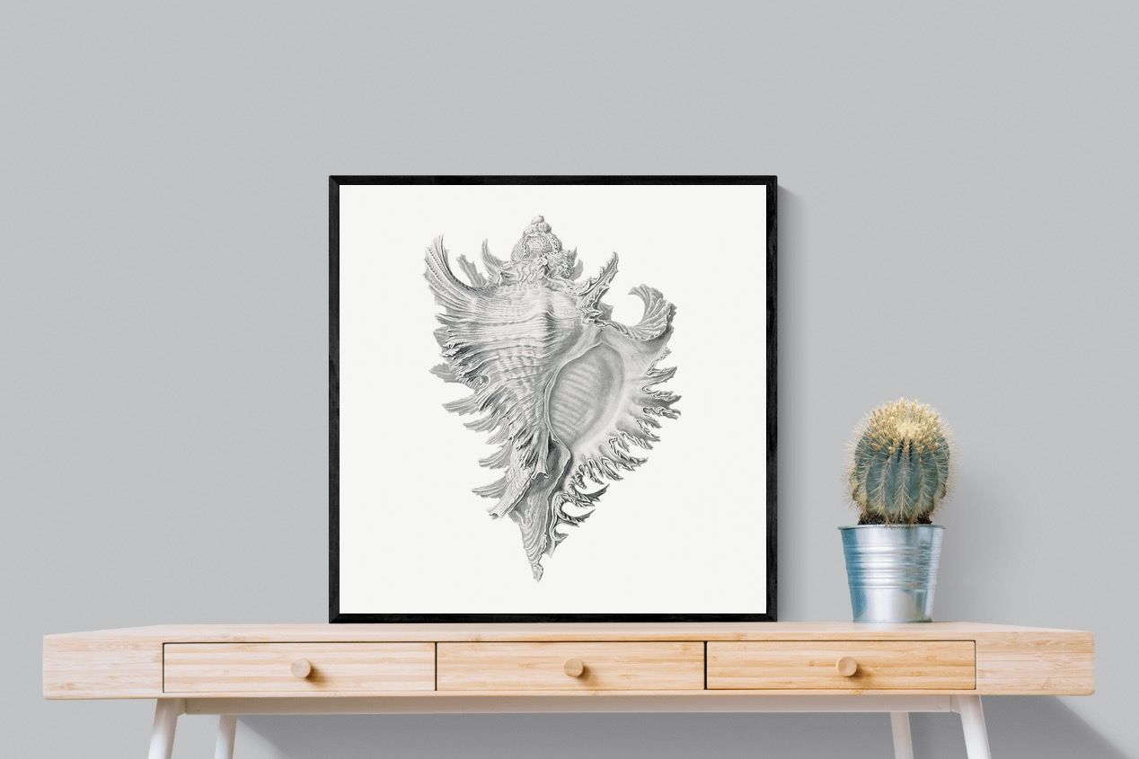 Pixalot Spiny Conch Shell