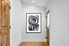 Pixalot Spiral Staircase
