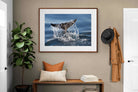 Pixalot ® Splash