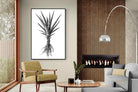 Pixalot Spotted Aloe