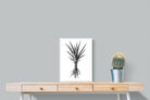 Pixalot Spotted Aloe