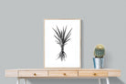 Pixalot Spotted Aloe