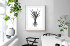 Pixalot Spotted Aloe