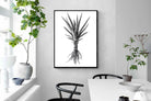 Pixalot Spotted Aloe