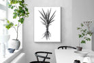 Pixalot Spotted Aloe