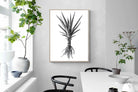 Pixalot Spotted Aloe