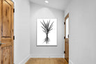 Pixalot Spotted Aloe