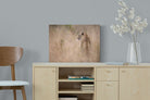 Pixalot ® Spotted Silence