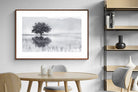 Pixalot ® Spring Mirror