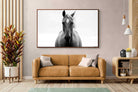 Pixalot ® Stallion