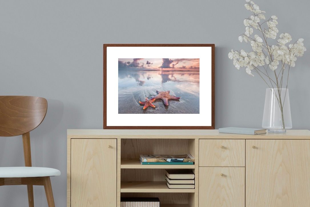 Pixalot ® Starfish
