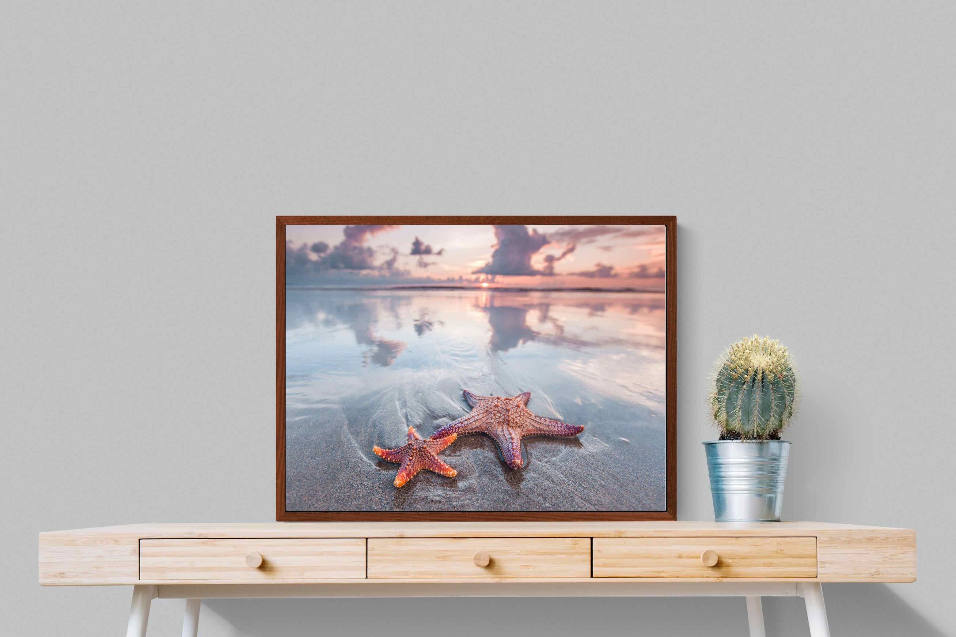 Pixalot ® Starfish