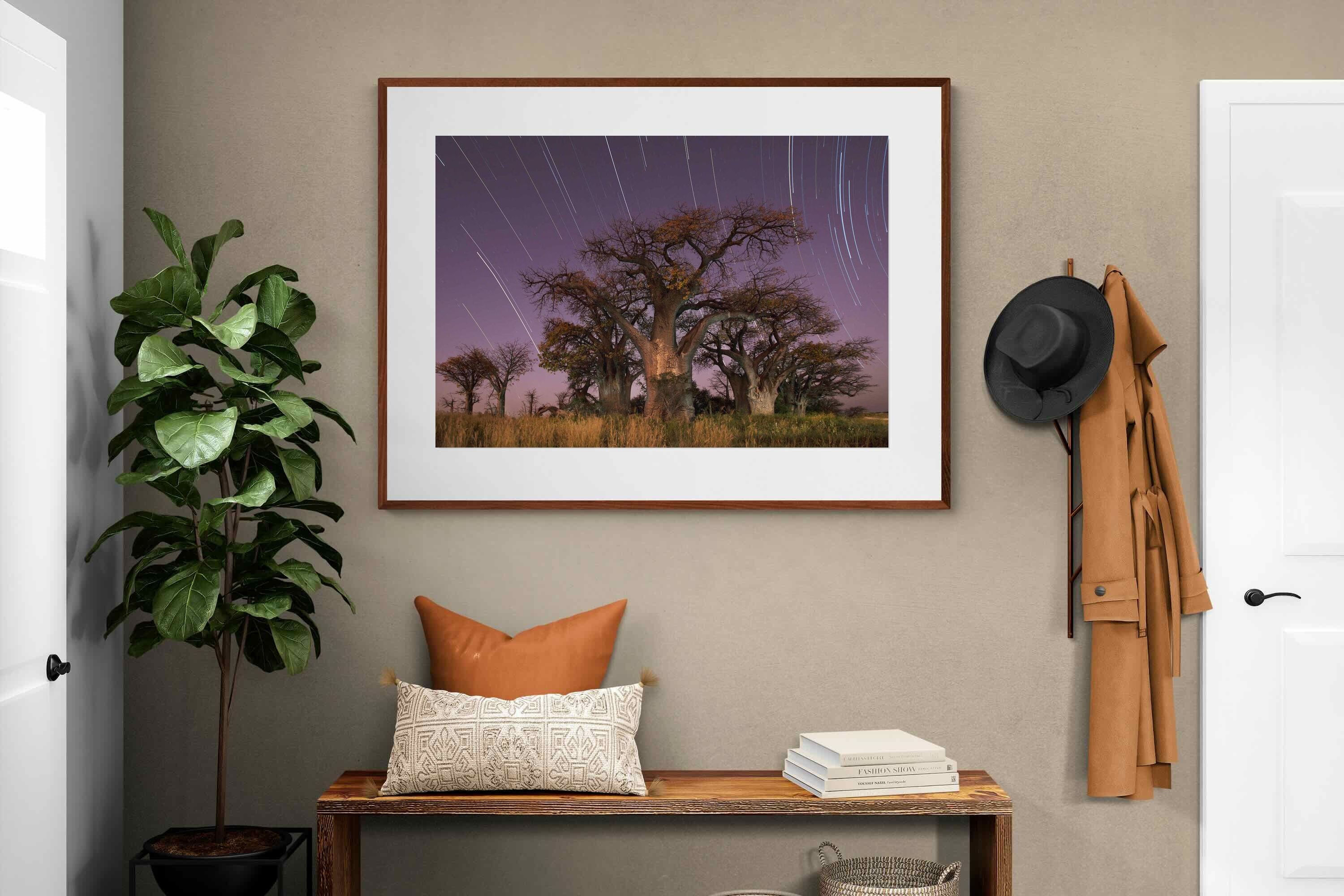 Pixalot ® Starry Sky Baobab