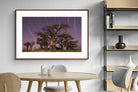 Pixalot ® Starry Sky Baobab