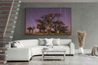 Pixalot ® Starry Sky Baobab