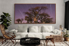 Pixalot ® Starry Sky Baobab