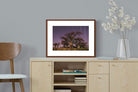 Pixalot ® Starry Sky Baobab