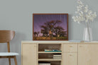 Pixalot ® Starry Sky Baobab