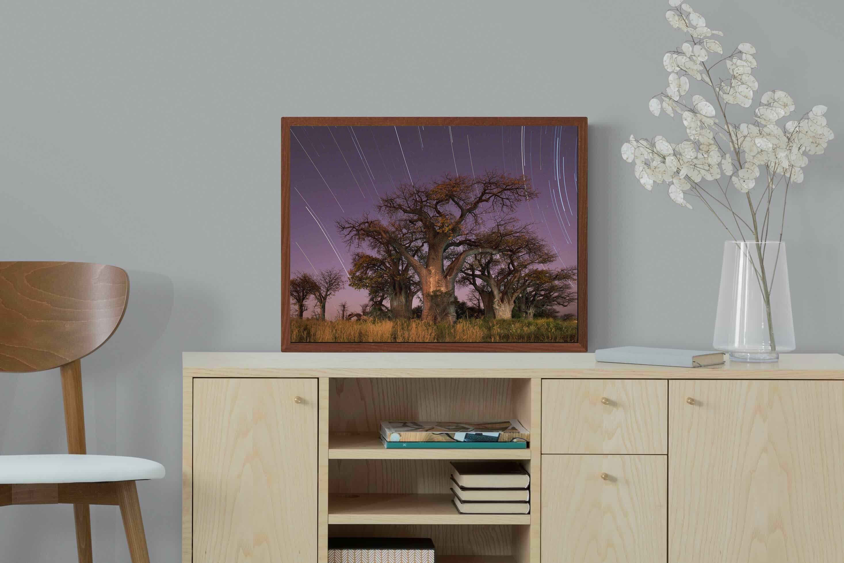 Pixalot ® Starry Sky Baobab
