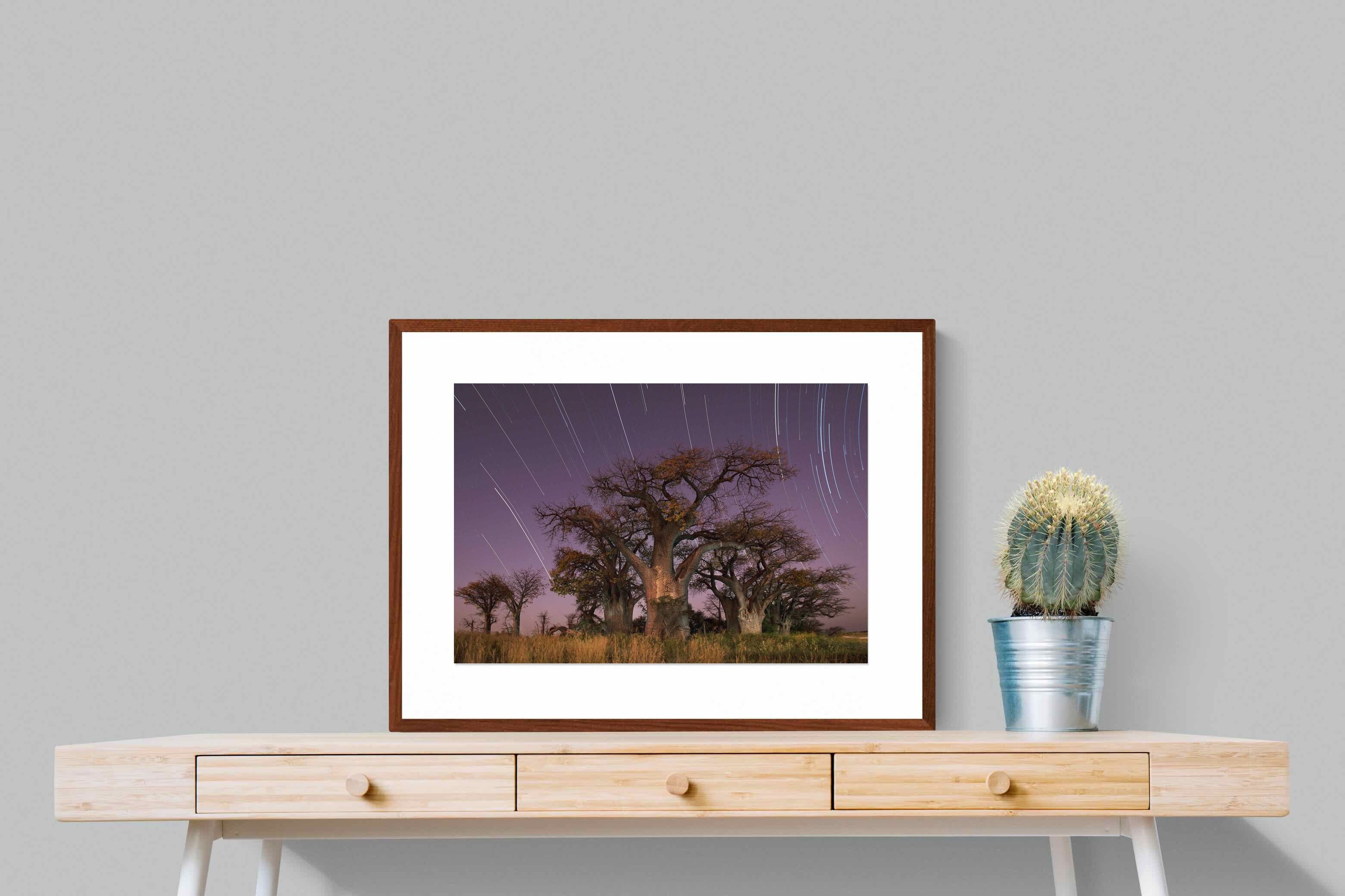 Pixalot ® Starry Sky Baobab