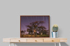Pixalot ® Starry Sky Baobab