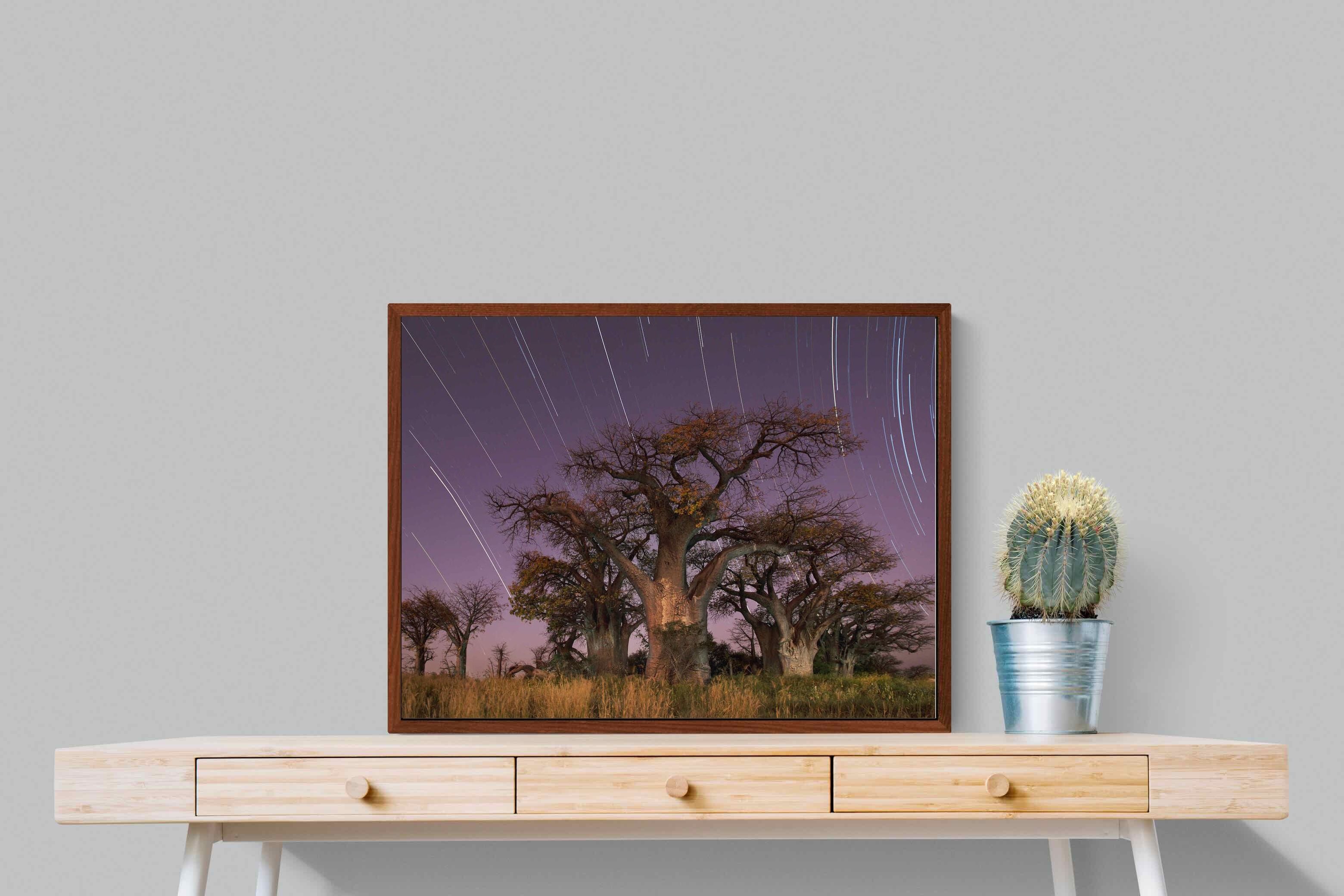 Pixalot ® Starry Sky Baobab