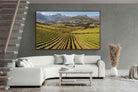 Pixalot ® Stellenbosch