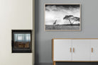 Pixalot ® Stormy Africa