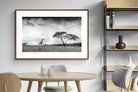 Pixalot ® Stormy Africa