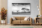 Pixalot ® Stormy Africa