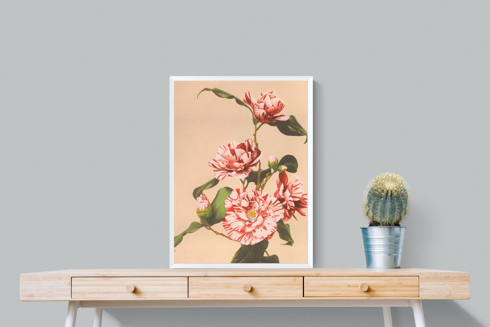 Pixalot Striped Camellias