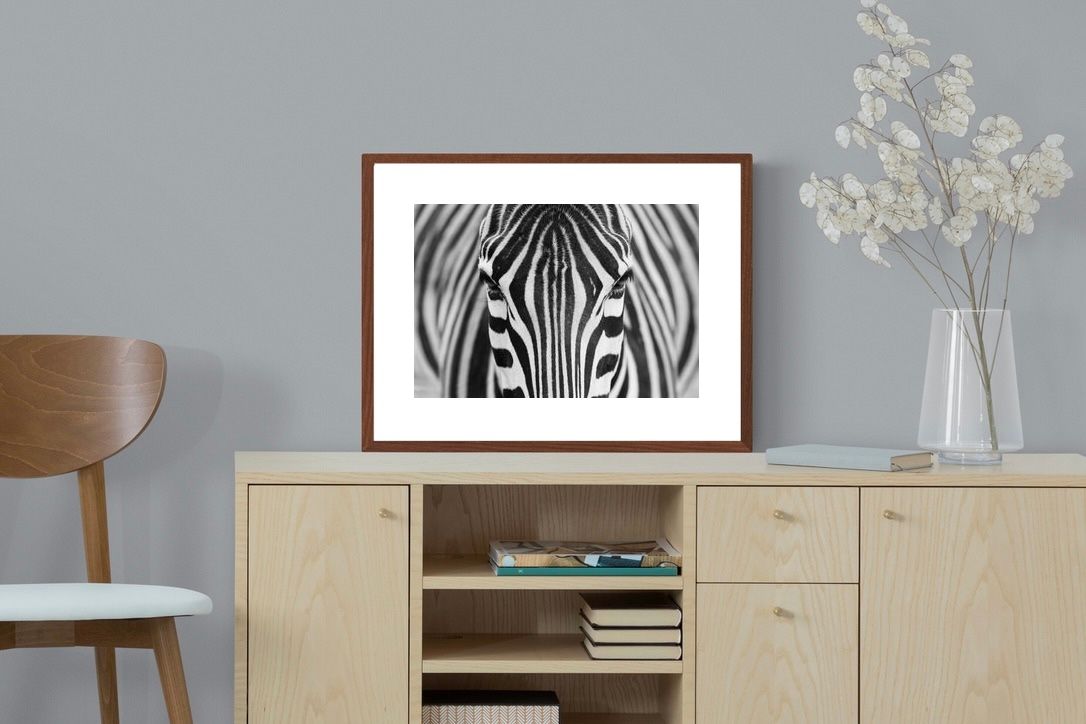 Pixalot ® Striped Focus