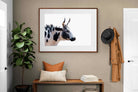 Pixalot ® Strong Nguni